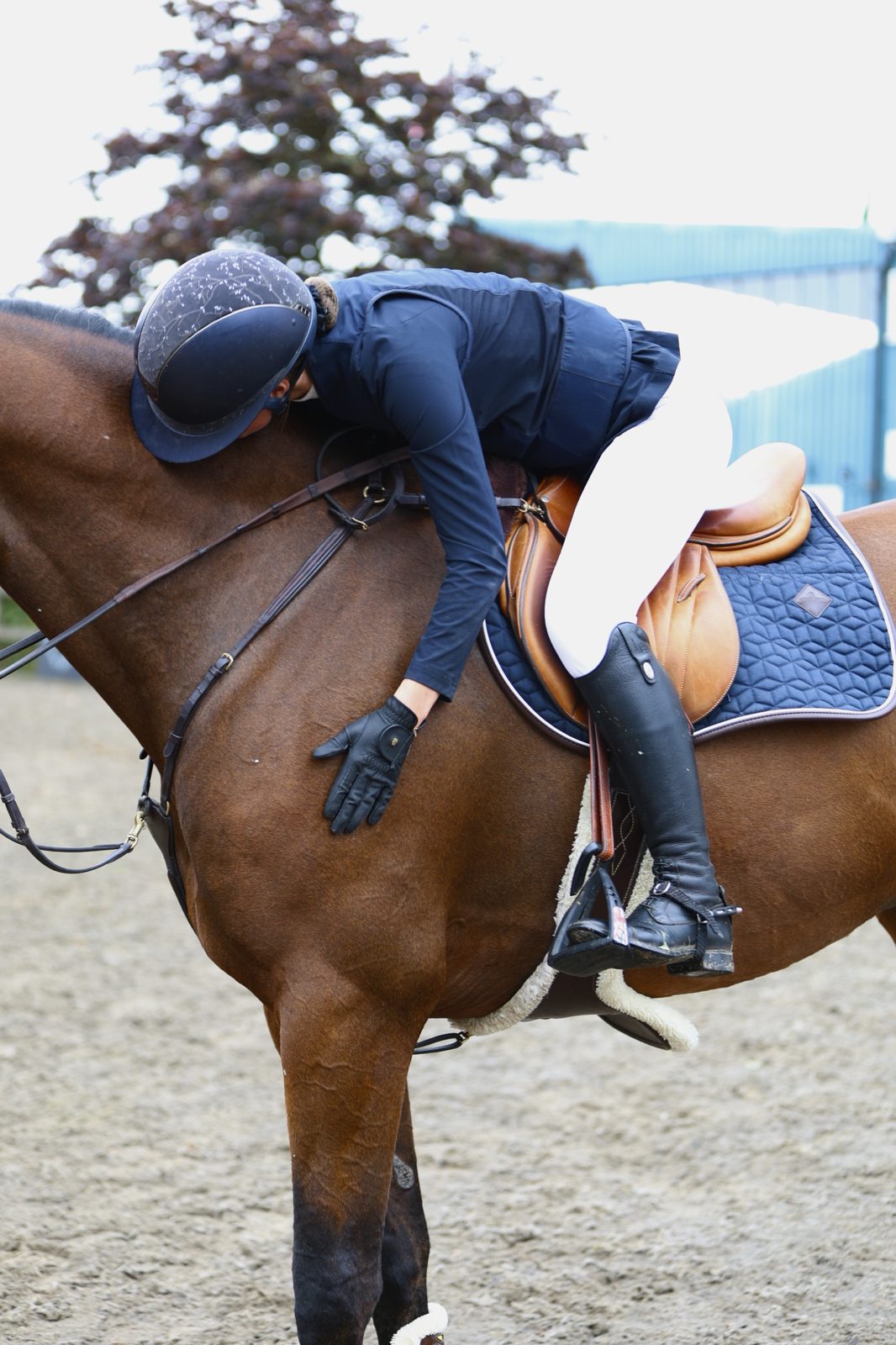 A rider in navy leaning down to hug her bay horse’s neck after a round