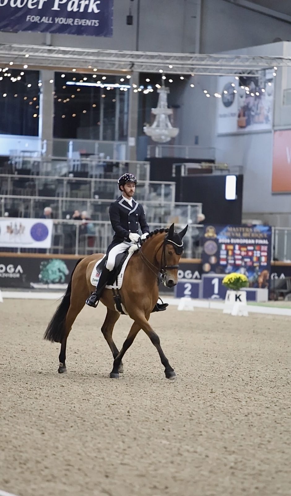 A rider and bay horse performing in an indoor dressage arena