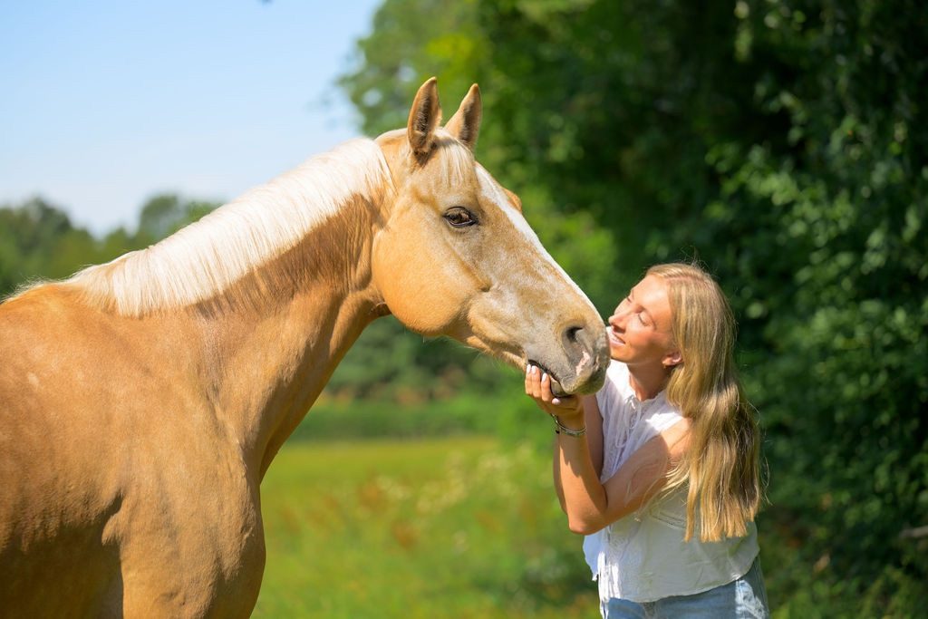 A palomino horse nuzzling her hand in the sunshine